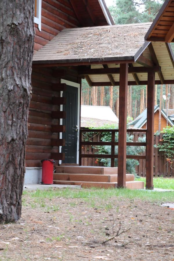 Dacha 6 Βίλα Voropayev Εξωτερικό φωτογραφία